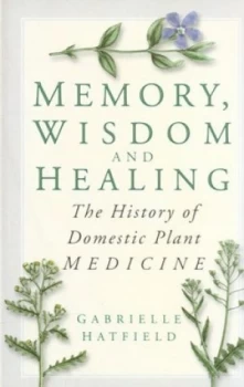 Image of Memory Wisdom and Healing by Jenny Sabine Paperback