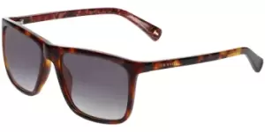 image of Ted Baker Sunglasses TB1663 122