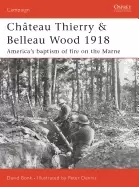 Image of chteau thierry and belleau wood 1918 americas baptism of fire on the marne