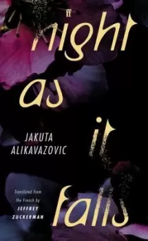Image of Night as it falls by Jakuta Alikavazovic