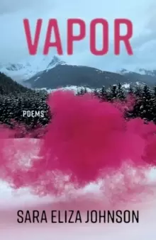 Image of Vapor : Poems