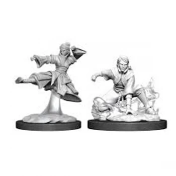 Image of Dungeons & Dragons Nolzur's Marvelous Unpainted Miniatures (W11) Female Human Monk