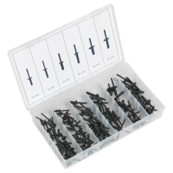 Image of Genuine SEALEY BTC19 Rivet Assortment for GM, Ford, Chrysler, VW 115pc