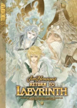 Image of Return to Labyrinth by Chris Lie Paperback