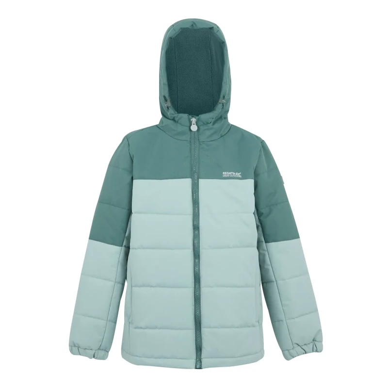 Image of Child's insulated waterproof jacket Regatta Lofthouse Vert Unisex 15/16 ans