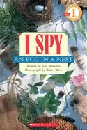 Image of i spy an egg in a nest