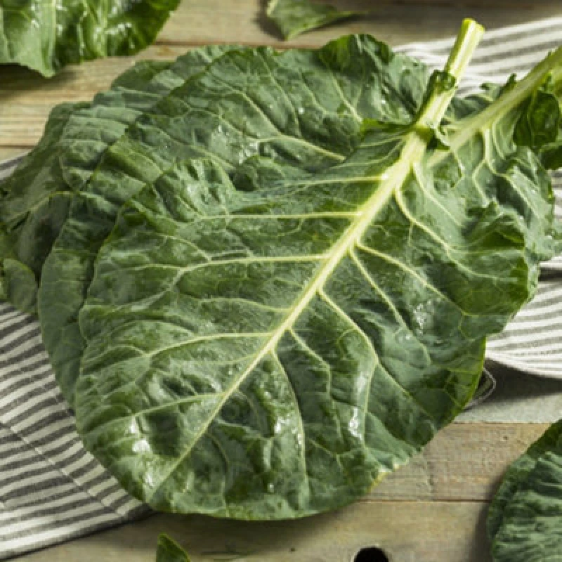 Image of Thompson & Morgan Collard Hi-Crop F1 1 Seed Packet