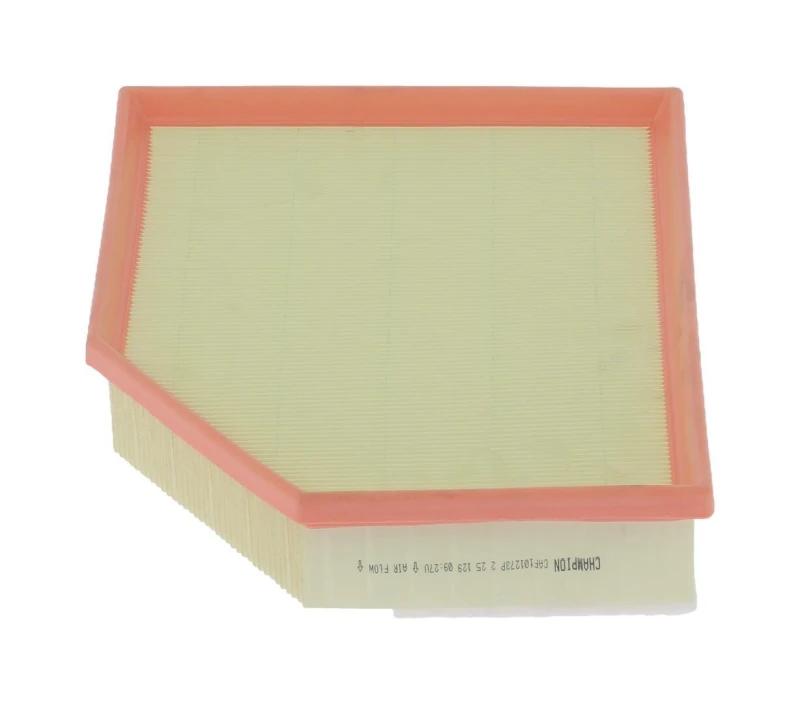 Image of Air filter CHAMPION CAF101273P