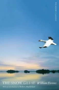 Image of The Snow Geese by William Fiennes Book
