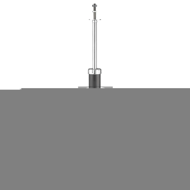 Image of Shock absorber SNR SA95013.05