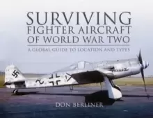 Image of Surviving Fighter Aircraft of World War Two