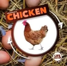 Image of Life Cycle of a Chicken