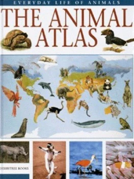 Image of The Animal Atlas by Marco Ferrari and Alessandro Cantucci and Andrea Morandi Hardback