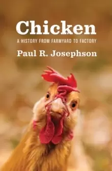 Image of Chicken : A History from Farmyard to Factory