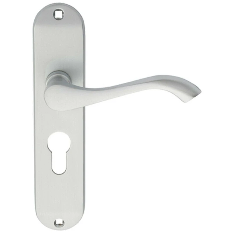 Image of Loops PAIR Curved Handle on Chamfered Euro Lock Backplate 180 x 40mm Satin Chrome Multi