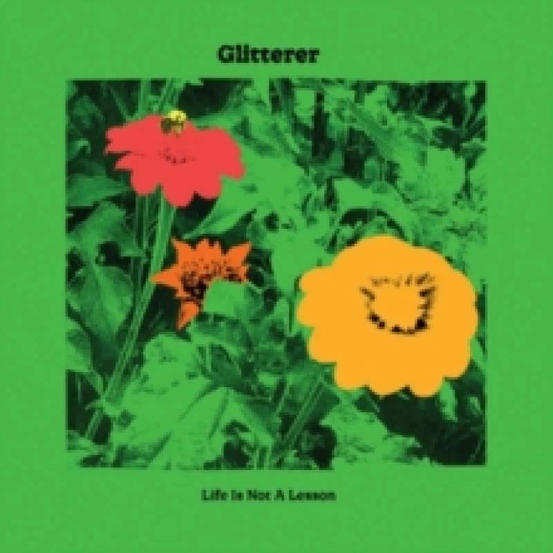 Image of Life Is Not a Lesson CD / Album