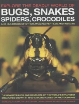 Image of Explore the deadly world of bugs snakes spiders crocodiles and hundreds of other amazing reptiles and insects by Jen Green