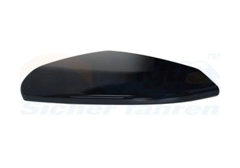 Image of VAN WEZEL Wing mirror cover VAN WEZEL 2590844
