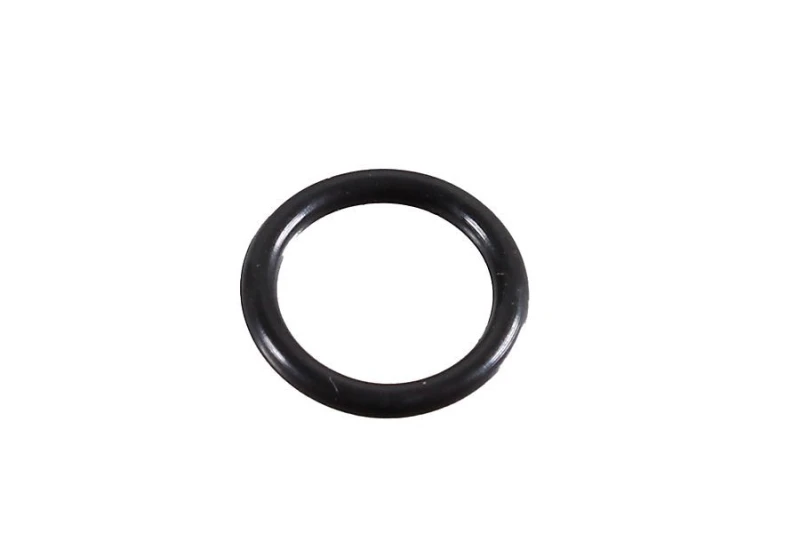 Image of Seal Ring METZGER 2430085
