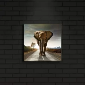 Image of 2828?ACT-23 Multicolor Decorative LED Lighted Canvas Painting