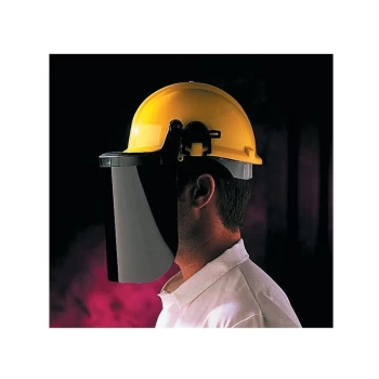 Image of ACCY: S595 225MM Acetate Shade-5 Face Screen - Centurion