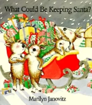 Image of what could be keeping santa hc