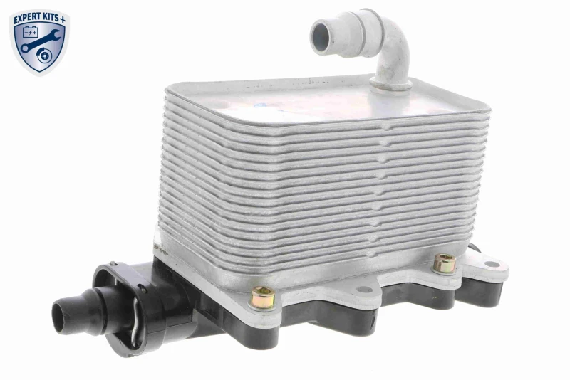 Image of Engine oil cooler VEMO V20-60-0046