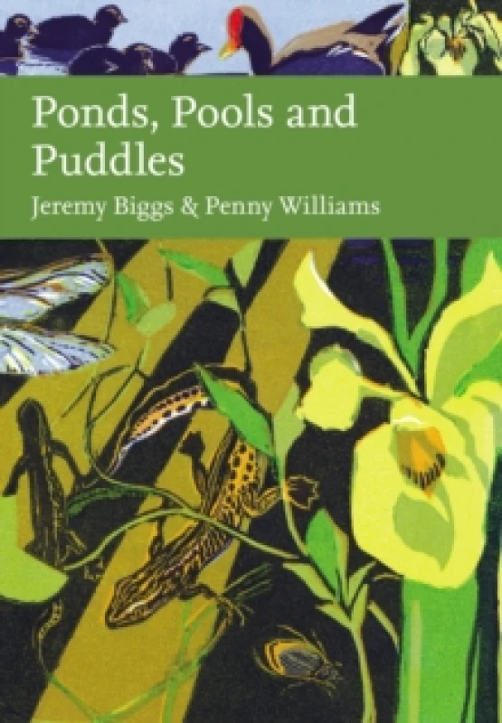 Image of Ponds, Pools and Puddles. Hardback. By Jeremy Biggs, P Williams Books