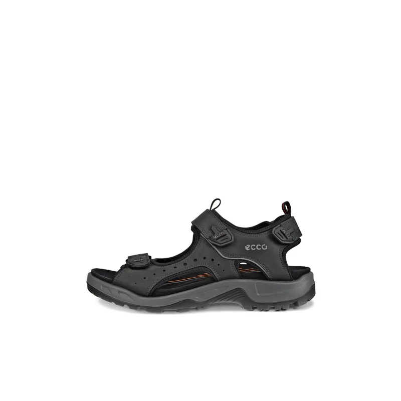 Image of Hiking sandals Ecco Noir Male 40