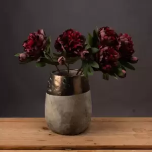 image of Burgundy Peony Rose