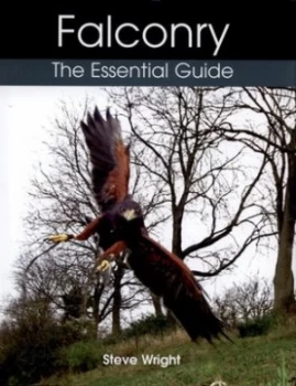 Image of Falconry by Steve Wright Hardback