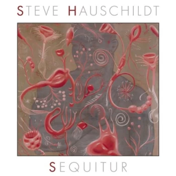 Image of Steve Hauschildt - Sequitur CD