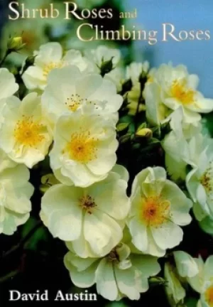 Image of Shrub roses and climbing roses by David Austin