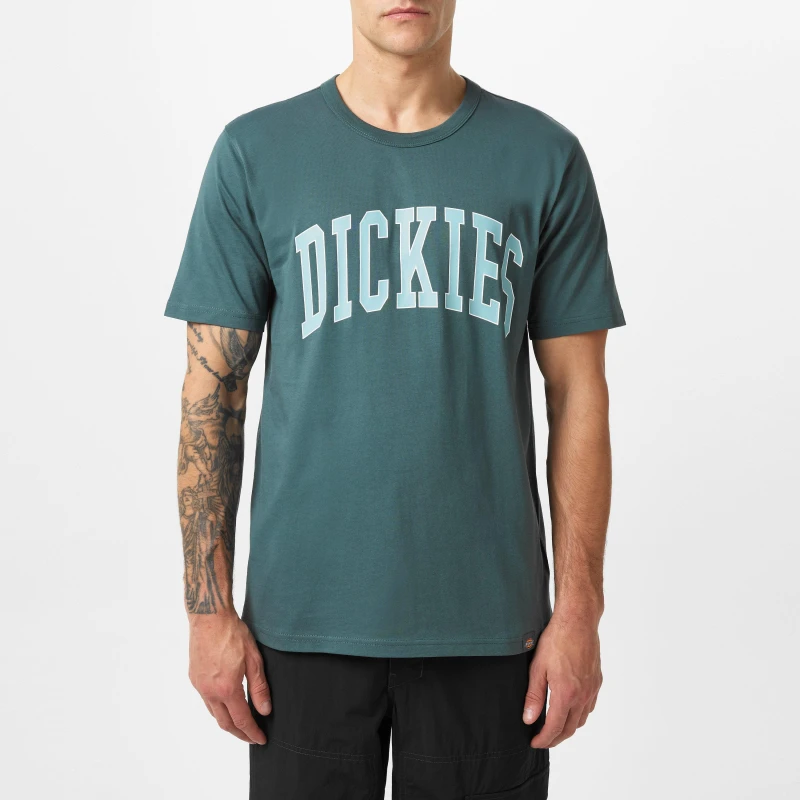 Image of Dickies Aitkin T-Shirt Grn/Srf Bl male Large
