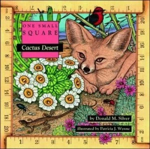 Image of Cactus Desert by Donald M Silver Paperback
