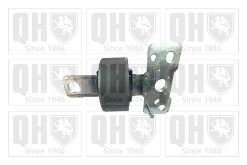 Image of QUINTON HAZELL Trailing arm / Suspension arm bush QUINTON HAZELL EMS8550