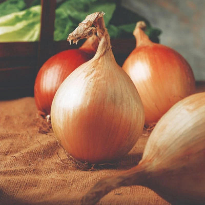 Image of Thompson & Morgan Ailsa Craig Giant Onion Seeds - Easy Grow Mild Flavour Hardy Annual - 100 Seeds