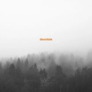 Image of Desolate - Exceptionalism Vinyl
