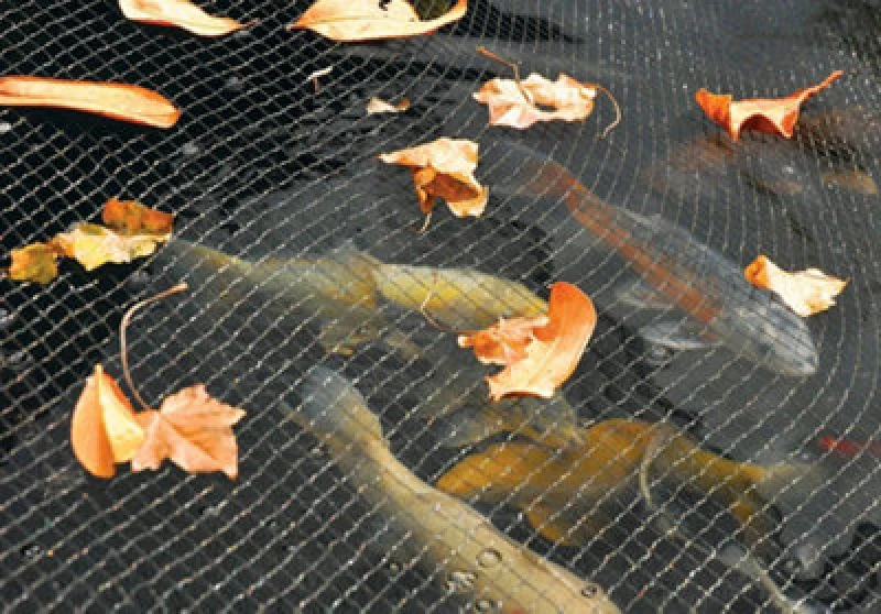 Image of Hozelock Pond cover Net (3m x 4m)
