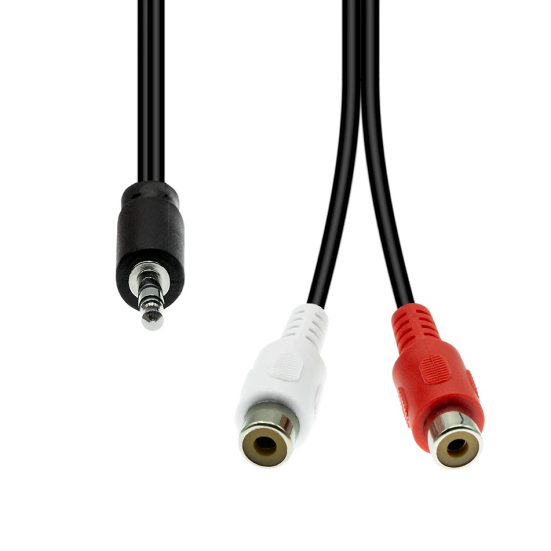 Image of ProXtend 3-Pin o 2 x RC Cle M-F