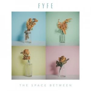 image of The Space Between by Fyfe CD Album