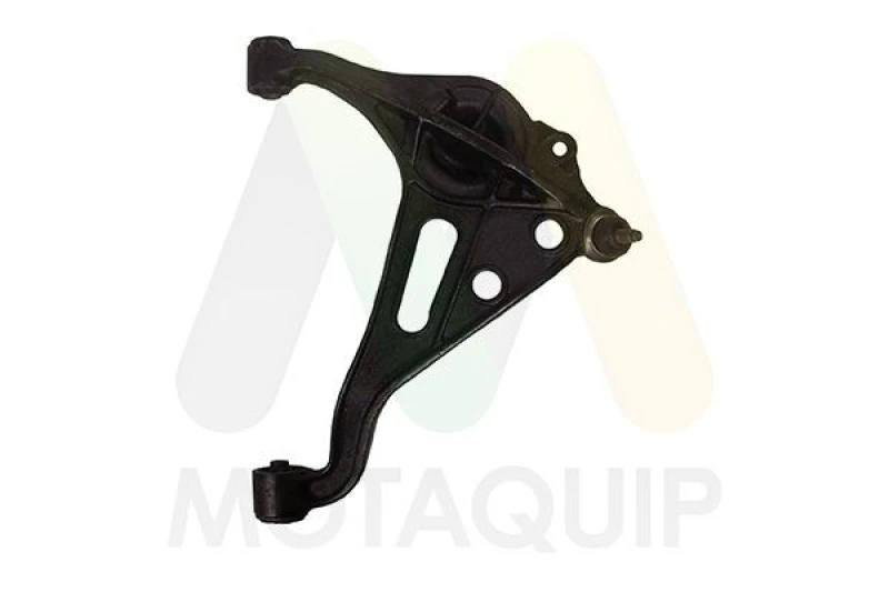 Image of MOTAQUIP Suspension arm MOTAQUIP LVSA1790