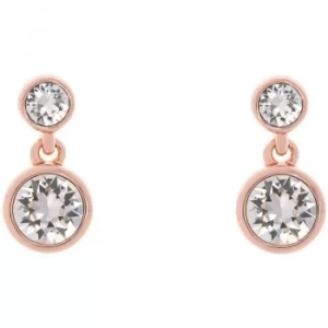 image of Ladies Karen Millen PVD rose plating Crystal Dot Earring