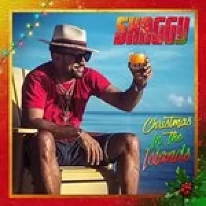 Image of christmas in the islands