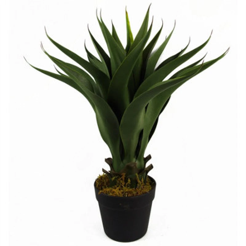 Image of Leaf 55cm Artificial Yucca Plant Realistic Office Plant Green