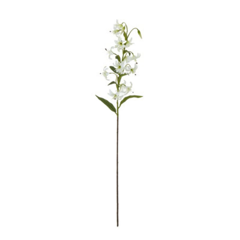 Image of Turks Cap Green Lily Spray
