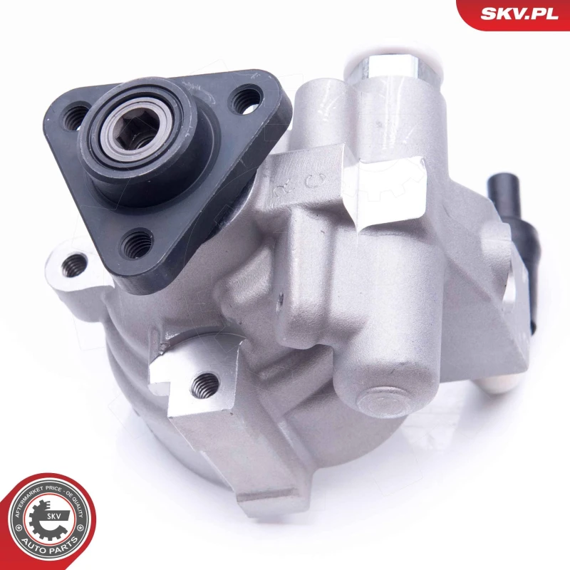Image of ESEN SKV Power steering pump ESEN SKV 10SKV278