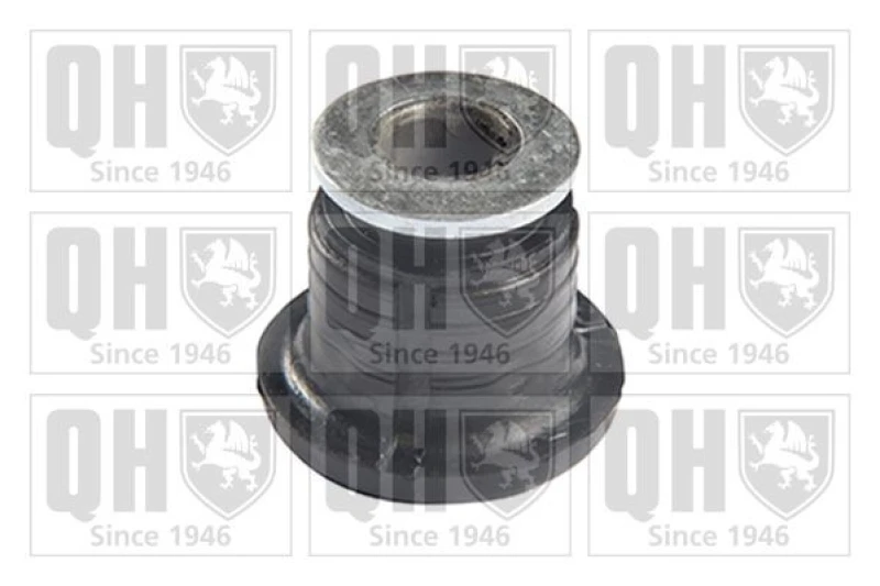 Image of QUINTON HAZELL Axle bush QUINTON HAZELL EMS8493