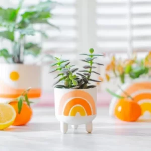 Image of Sass & Belle Rainbow Planter