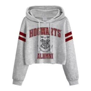 Image of Harry Potter Womens/Ladies Hogwarts Alumni Crop Hoodie (L) (Grey Heather)